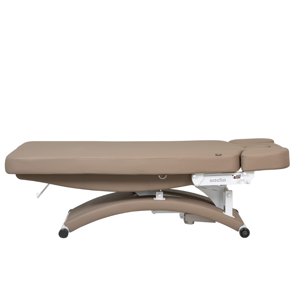 MARQUESA ELÉTRICA SPA DE 3 MOTORES TAL